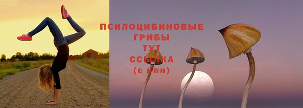 прущий лед Алзамай