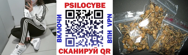 Купить  Ессентукская  Галлюциногенные грибы Magic Shrooms 