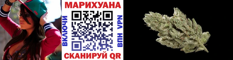 Купить где  Ессентукская  Марихуана сатива 